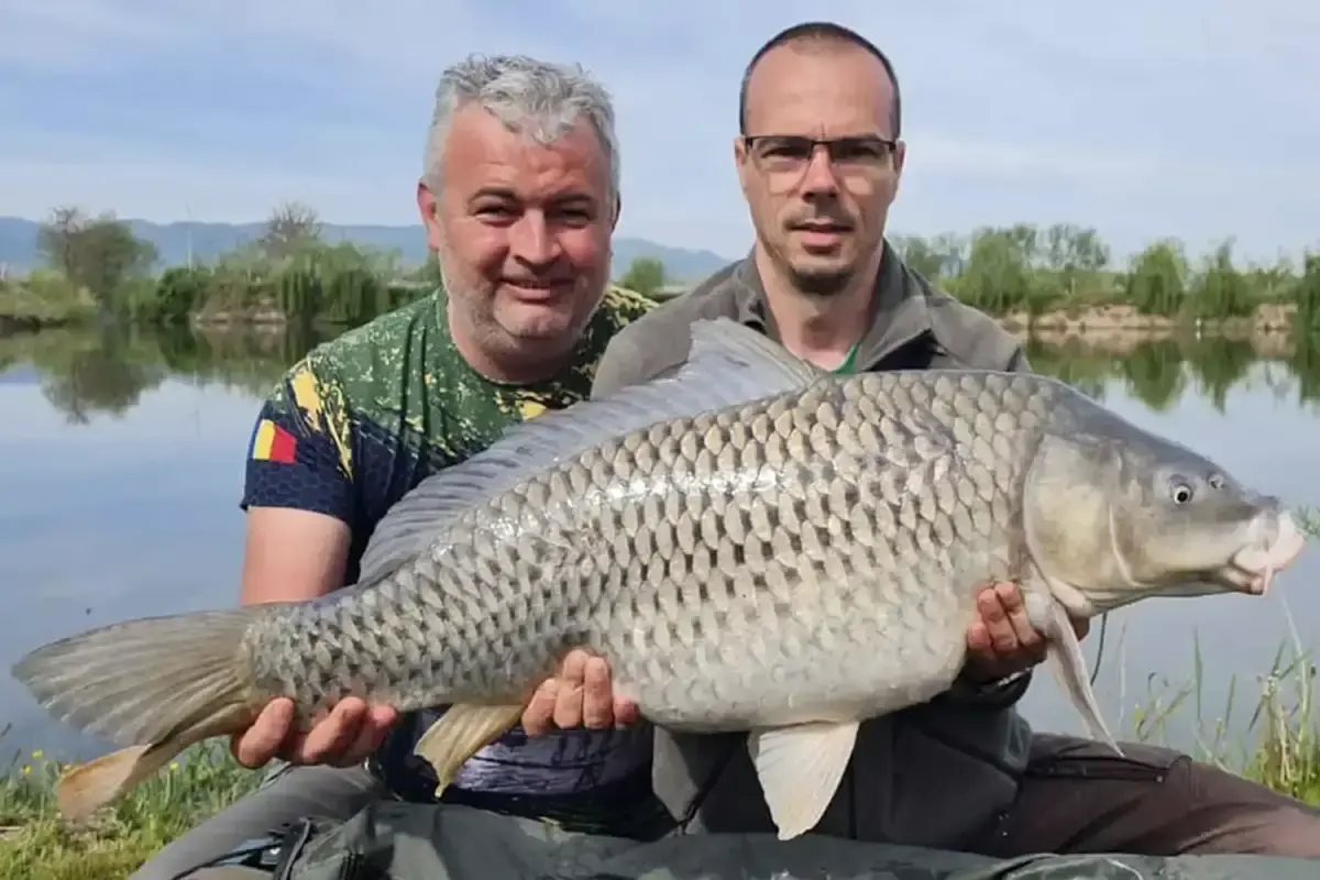 Pescari sportivi care tin pestele pescuit in cadrul lacurilor de langa Sibiu de pescuit