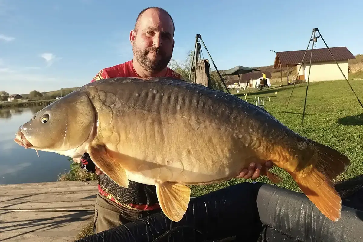 Pescar tine pestele prins la Catch&Release Lacurile Sibiu cu căbănuțe în fundal